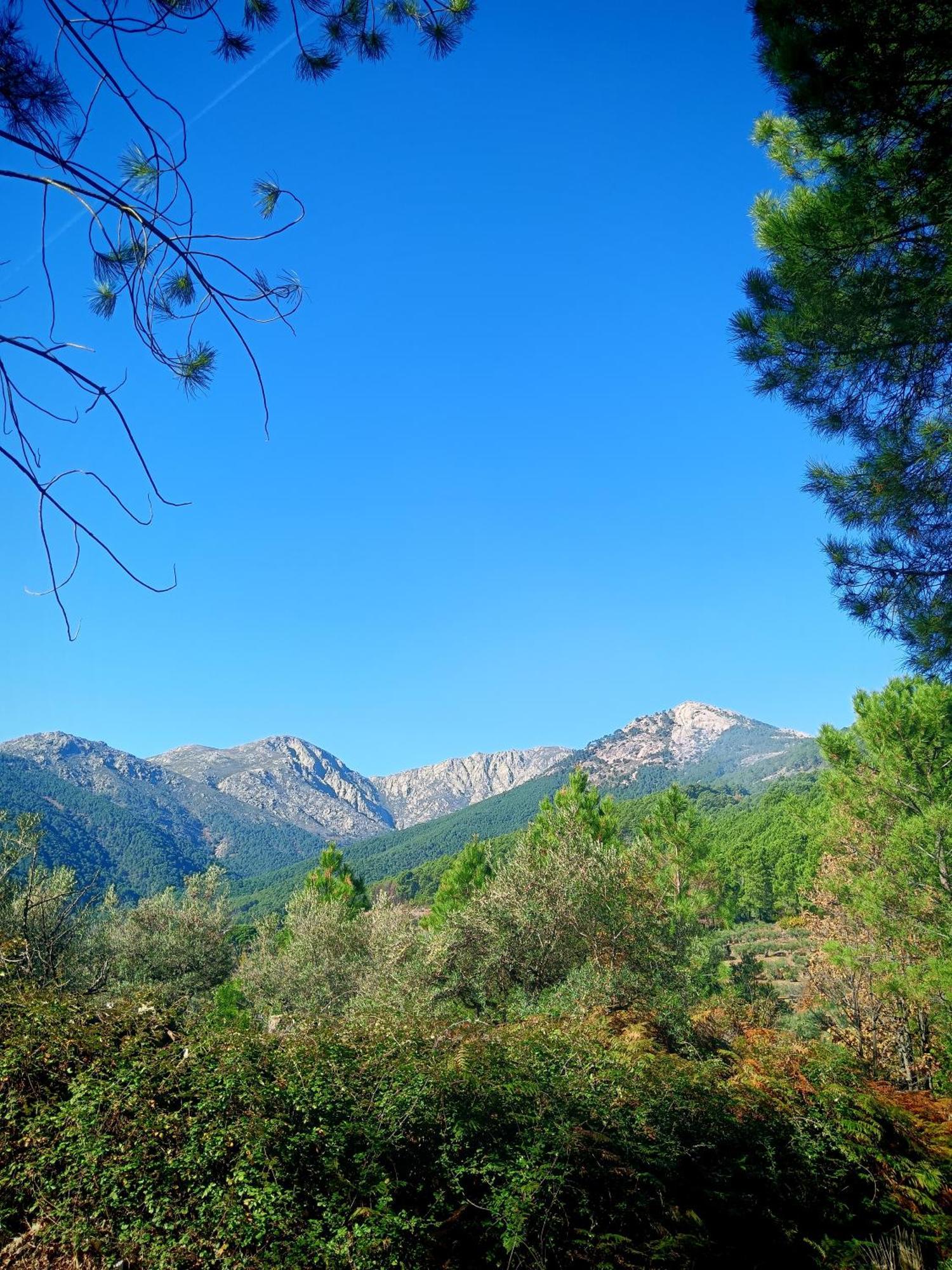 ארנס דה סן פדרו Estrellas De Gredos מראה חיצוני תמונה